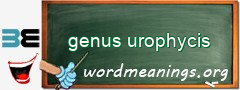 WordMeaning blackboard for genus urophycis